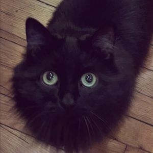 Meet your Posher, Ally